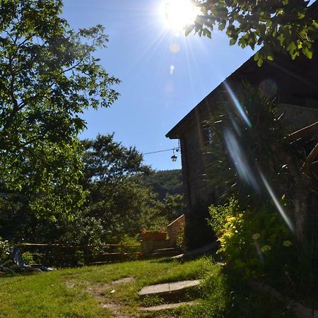 B&B Il Palazzo Сансеполкро Екстериор снимка